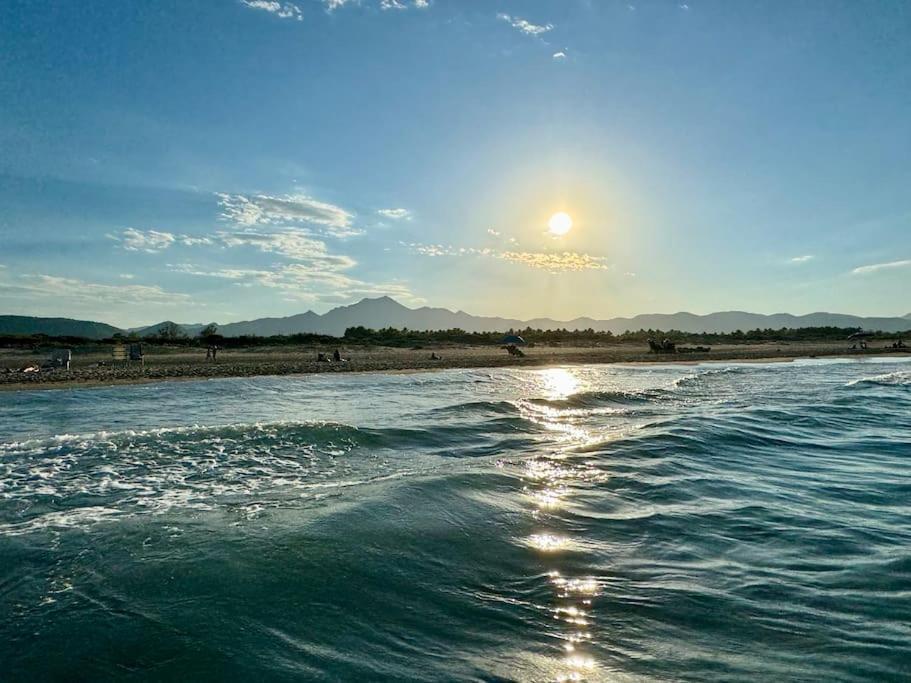 شقة Relax En Playa De L'Ahuir Gandia Playa de Gandia المظهر الخارجي الصورة